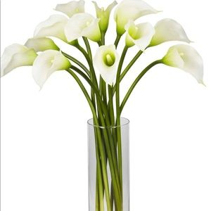 Meet your Posher, Amalia